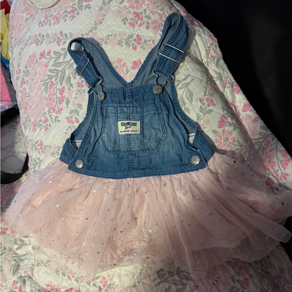 OshKosh Denim & Pink Dress